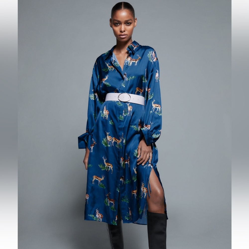 Zara dress